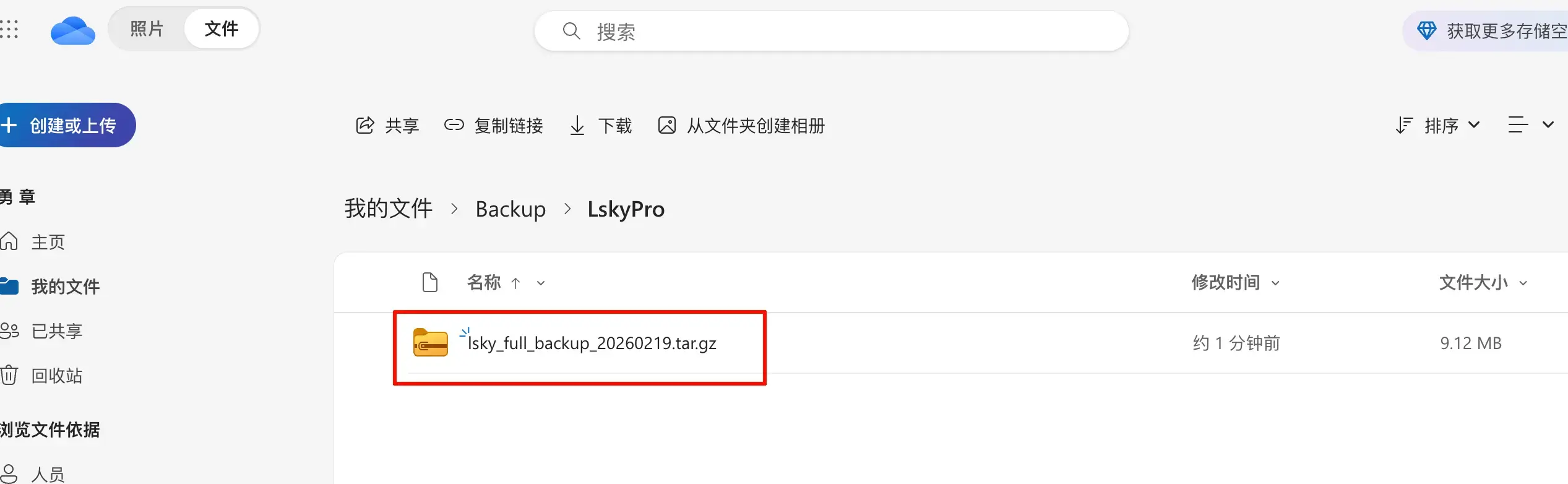 PixPin_2026-02-19_14-45-07