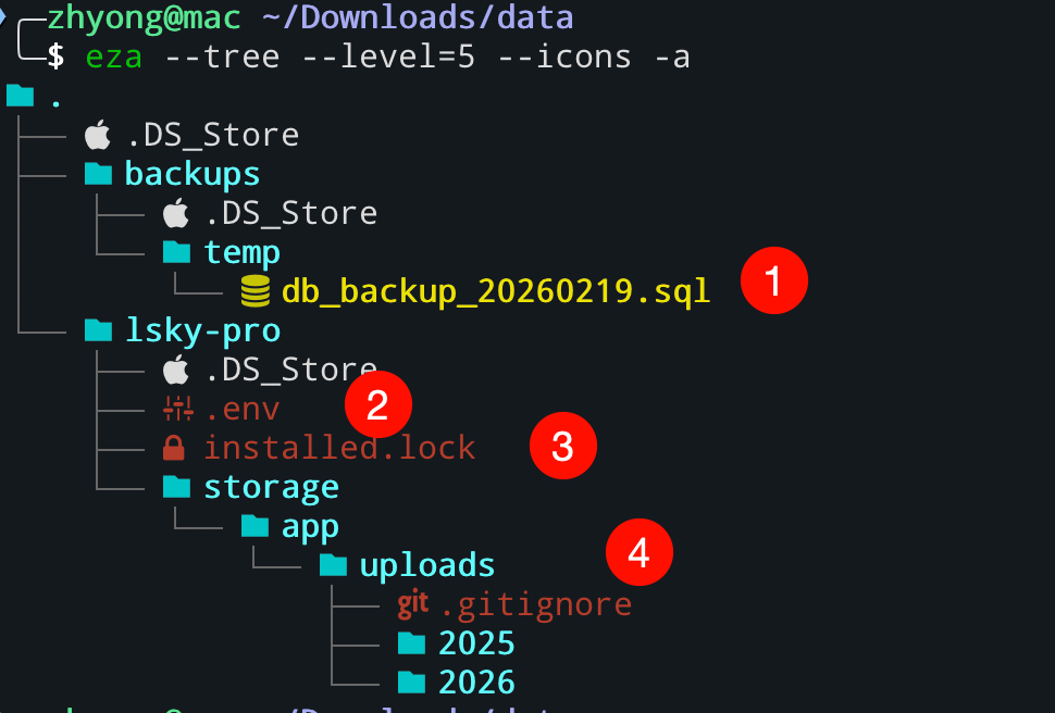 image-20260219161019787